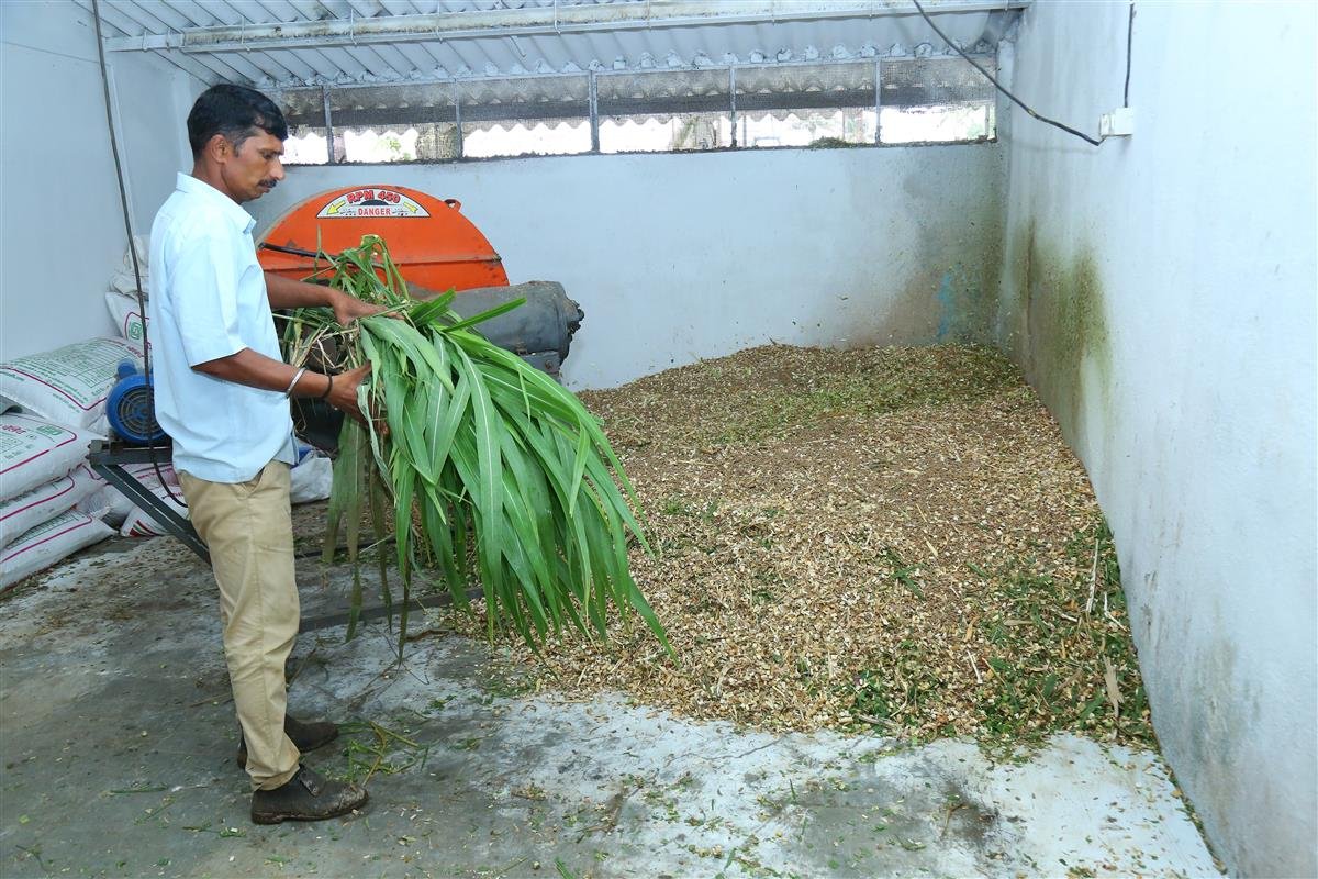 Animal Nutrition